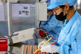 Workers produce electronic components (Photo: VNA)