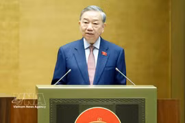 Party General Secretary and State President To Lam (Photo: VNA)