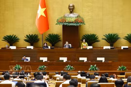 NA Vice Chairwoman Nguyen Thi Thanh chairs the plenary sitting (Photo: VNA)
