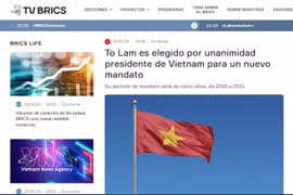 Screenshot of the article on Spanish-language BRICS television (Photo: VNA)
