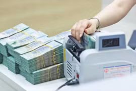 Illustrative image (Photo: VNA)