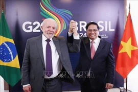 Prime Minister Pham Minh Chinh (R) and Brazilian President Lula da Silva at their talks in November 2024. (Photo: VNA)