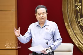 National Assembly (NA) Chairman Tran Thanh Man speaks at the working session with standing members of the NA's Council for Ethnic Affairs in Hanoi on May 21. (Photo: VNA)