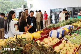 Various Vietnamese fruits, including durian and passion fruit, are on sale at China's Youyi Guan border gate. (Photo: VNA)