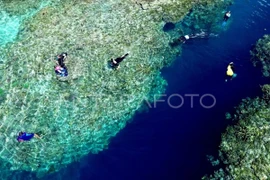 At Olele Marine Park, Indonesia (Photo: Antara)