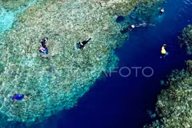 At Olele Marine Park, Indonesia (Photo: Antara)