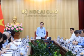 Minister of Foreign Affairs Le Hoai Trung speaks at the meeting. (Photo; VNA)