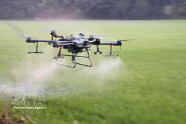 Farmers in An Giang use drones for pesticide spraying, helping save costs, labour and time. (Photo: VNA)