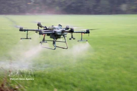 Farmers in An Giang use drones for pesticide spraying, helping save costs, labour and time. (Photo: VNA)