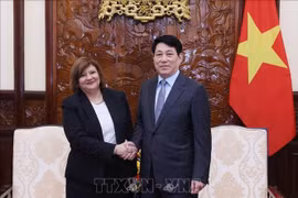 State President Luong Cuong (R) and outgoing Egyptian Ambassador Amal Abdel Kader Elmorsi Salama in Hanoi on July 1. (Photo: VNA)