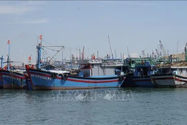 Fishing vessels are anchored at a fishing port in Quy Nhon ward, Gia Lai province. (Photo: VNA)