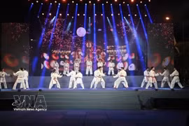 Vietnamese martial artists perform Vovinam. (Photo: VNA)