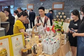 Delegates learn about key agricultural products of Gia Lai province. (Photo: VNA)