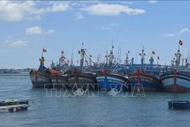 Gia Lai digitises fishing fleet to strengthen fight against IUU fishing