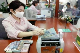 The daily reference exchange rate for the US dollar is set at 24,646 VND/USD on February 25 (Photo: VNA)