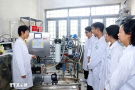 Vietnam’s human resources quality has increasingly improved, with policies on comprehensive human development becoming more complete, focused and practical (Photo: VNA)