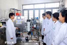 Vietnam’s human resources quality has increasingly improved, with policies on comprehensive human development becoming more complete, focused and practical (Photo: VNA)