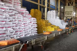 Vietnam exports more than 7 million tonnes of rice as of October 15, according to the Vietnam Food Association. (Photo: VNA)