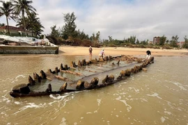 An old shipwreck is found on the beach of Tan Thanh in Hoi An Tay ward, Da Nang city on November 8. (Photo: baodanang.vn)
