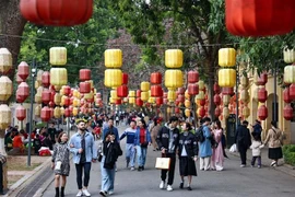 A large number of locals and tourists visit and take photos at the Thang Long Imperial Citadel on February 2, 2025 (the Lunar New Year). (Photo: VNA)