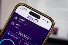 Illustrative image (Photo: VNA)