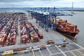 Imports and exports at Lach Huyen container port in Hai Phong city (Photo: VNA)