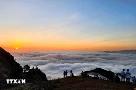 Tourists come to hunt clouds in Dong Cao Plateau. (Photo: VNA)