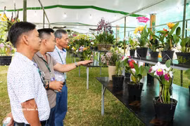 Visitors tour the display (Photo: VNA)
