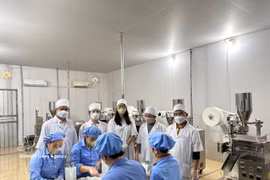 Pu Mat Medicinal Herbs JSC in Con Cuong commune, Nghe An province, has developed a line of products, including milk thistle extract and Gymnema sylvestre extract that meet OCOP 4-star standards. (Photo: VNA)
