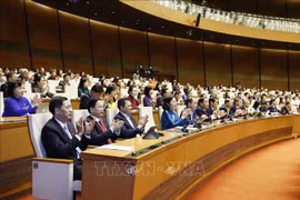 National Assembly deputies attend a working session. (Photo: VNA)