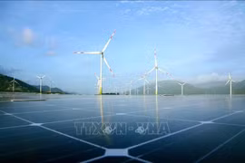 Wind and solar power projects in Loi Hai and Bac Phong communes, Thuan Bac district, Ninh Thuan province. (Photo: VNA)