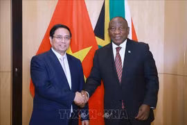 Vietnamese Prime Minister Pham Minh Chinh (L) and South African President Cyril Ramaphosa at their meeting on November 21. (Photo: VNA)