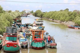 Fishing vessels are anchored inside the Rach Bum sluice gate, adjacent to the Go Cong sea. (Photo: VNA)