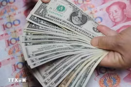 Reference exchange rate up 16 VND on April 2 (Photo: VNA)