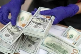 The daily reference exchange rate for the US dollar is set at 24,982 VND/USD on June 11. (Photo: VNA)