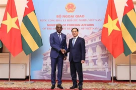 Deputy Prime Minister and Minister of Foreign Affairs Bui Thanh Son (R) welcomes Prof. Robert Dussey, Minister of Foreign Affairs, African Integration and Togolese Abroad of Togo (Photo: VNA)