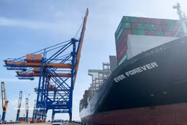 Loading and unloading import-export cargo at Gemalink International Port. (Photo: VNA)
