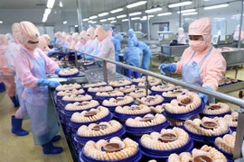 A shrimp processing line for export at Minh Phu Seafood Corp. This is one of large enterprises in Vietnam that has implemented green development (Photo: VNA)