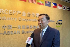 Executive President of the China - ASEAN Business Council (CABC) Xu Ningning. (Photo: VNA)