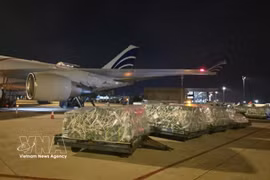 The shipments are unloaded at the airport. (Photo: VNA broadcasts)