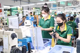 Workers at the Lefaso Tra Vinh Industrial Production and Investment JSC in Tra Cu commune, Vinh Long province (Photo: VNA)