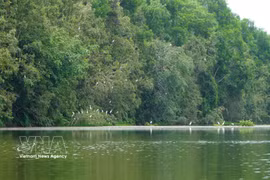 The Dong Thap Muoi Ecological Reserve spans more than 106 hectares and is set to be expanded by an additional 60 hectares in the near future. (Photo: VNA) 