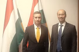 Hungarian Deputy State Secretary for Development of Eastern Relations at the Ministry of Foreign Affairs and Trade Stifter Adam (L) receives Vietnamese Ambassador to Hungary Bui Le Thai. (Photo: VOV)