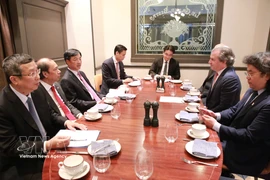 Nguyen Duy Ngoc (third from left), Politburo member and deputy head of the Central Steering Committee for the Development of Science, Technology, Innovation and Digital Transformation, chairs a working session with representatives from Rosen Partners (Photo: VNA)