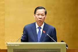 Phan Van Mai, Chairman of the NA’s Committee for Economic and Financial Affairs, speaks at the NA session on August 3. (Photo: VNA)