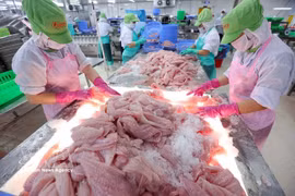 Workers classify tra fish fillets at the factory of Go Dang Tien Giang Joint Stock Company. (Photo: VNA)