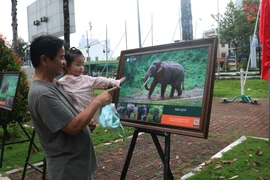 Residents of Dong Nai province visit the exhibition on Vietnam's elephants. (Photo: VNA)