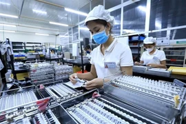 A Japan invested firm in Vietnam. To meet the 2025 growth target, the Government has called for the simplification of administrative procedures and business regulations. (Photo: VNA)