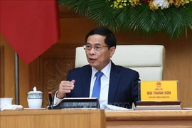 Deputy Prime Minister Bui Thanh Son at the meeting with AVSE Global representatives in Hanoi on June 1. (Photo: VNA)