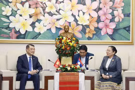 Politburo member, Secretary of the Communist Party of Vietnam (CPV) Central Committee and Chairman of the CPV Central Committee’s Organisation Commission Le Minh Hung (L) holds talks with Sisay Leudetmounsone, Politburo member, Secretary of the Lao People's Revolutionary Party (LPRP) Central Committee and Chairwoman of the LPRP Central Committee's Organisation Commission, in Vientiane on December 2 (Photo: VNA)